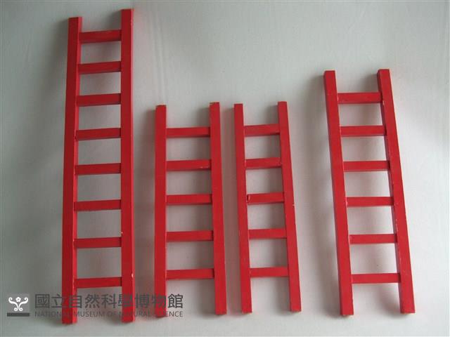 梯子藏品圖，第1張