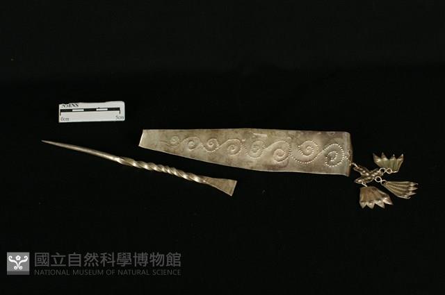 頭花藏品圖，第1張