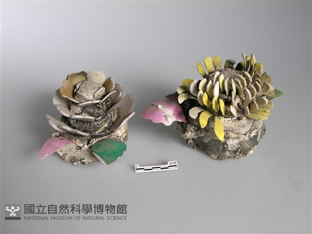 剪黏(菊/茶) 藏品圖，第1張
