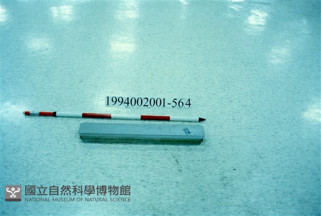 屋宅木構件藏品圖，第1張