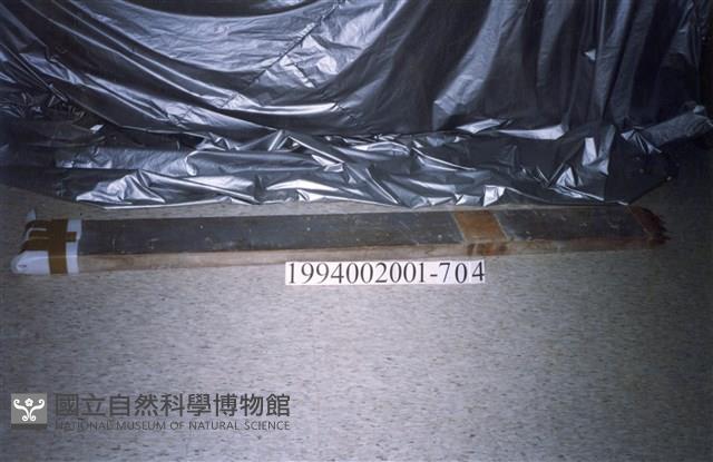 屋宅木構件藏品圖，第1張