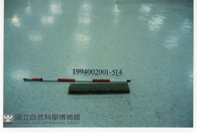 屋宅木構件藏品圖，第1張