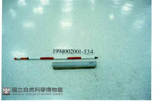 屋宅木構件藏品圖，第1張