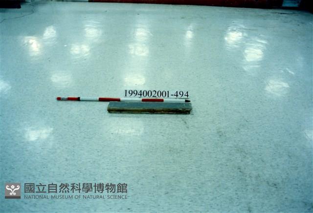 屋宅木構件藏品圖，第1張