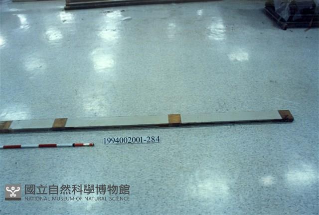 Accession Number:1994002001.0284 Collection Image