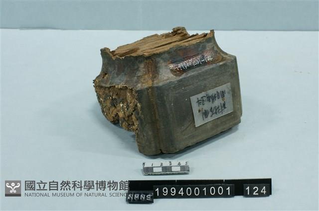 屋宅構件(斗)藏品圖，第1張