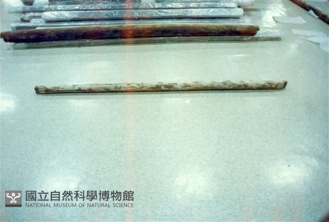 屋宅木構件藏品圖，第1張