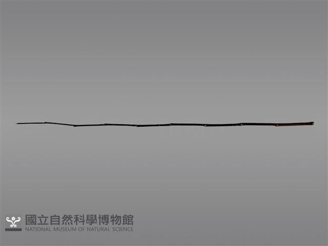 祭桿藏品圖，第1張