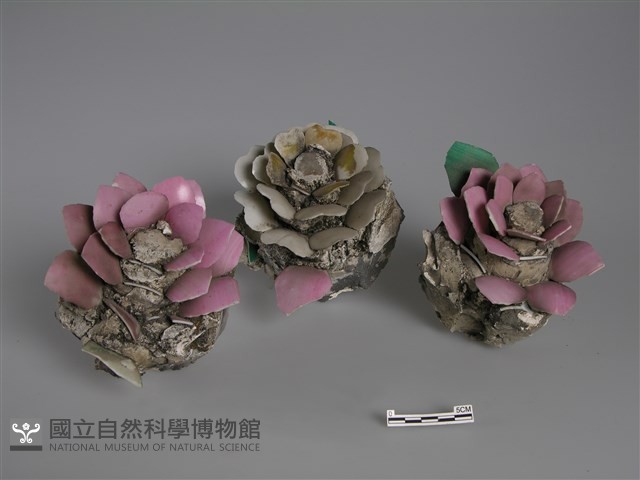 剪黏(花)藏品圖，第1張
