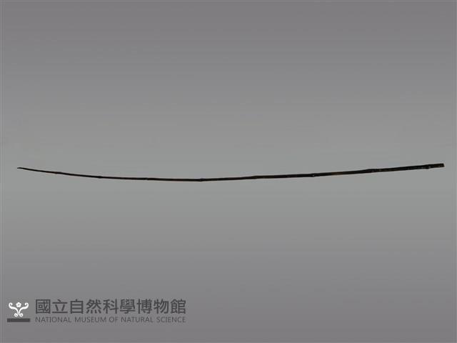 祭桿藏品圖，第1張