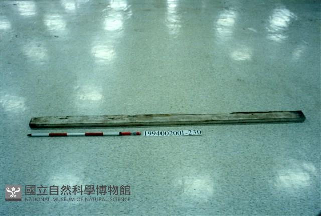 屋宅木構件藏品圖，第1張