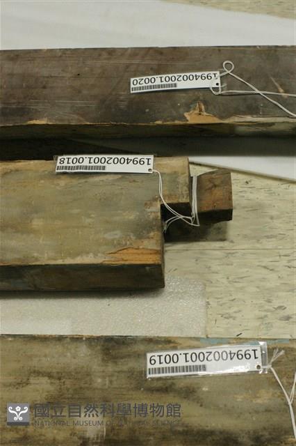 屋宅木構件藏品圖，第1張