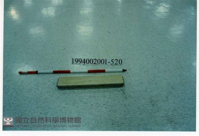 屋宅木構件藏品圖，第1張