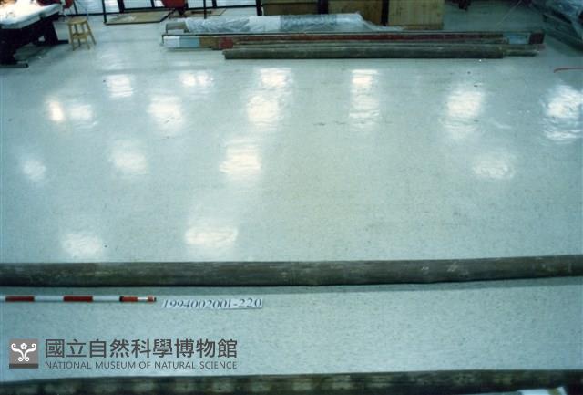 屋宅木構件藏品圖，第1張