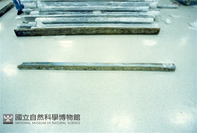 屋宅木構件藏品圖，第1張