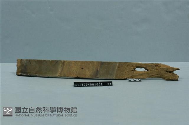 屋宅構件(斗)藏品圖，第1張