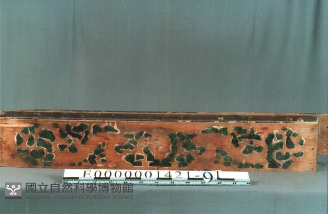 束木藏品圖，第1張