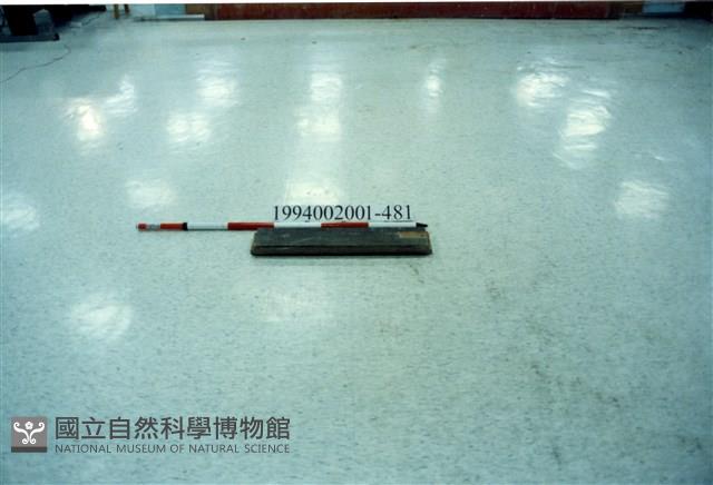 屋宅木構件藏品圖，第1張