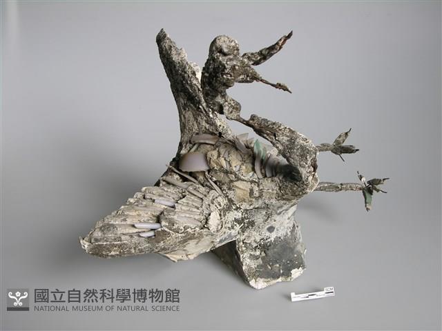 剪黏(鶴) 藏品圖，第1張