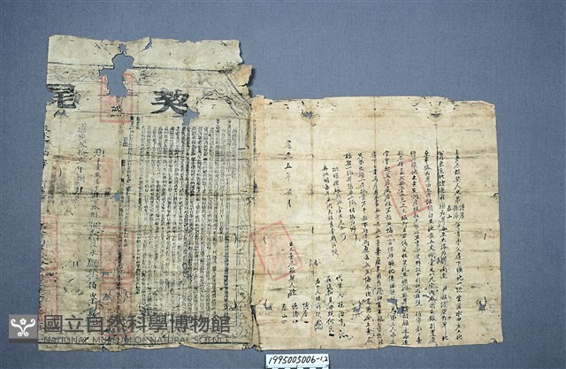 房地買賣契藏品圖，第1張