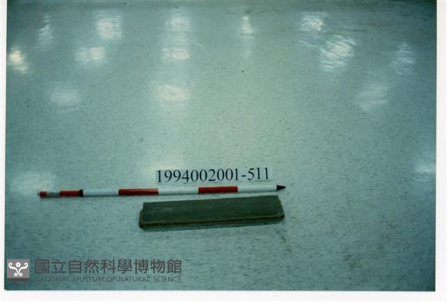 屋宅木構件藏品圖，第1張