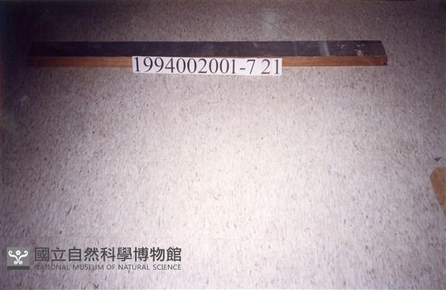 屋宅木構件藏品圖，第1張