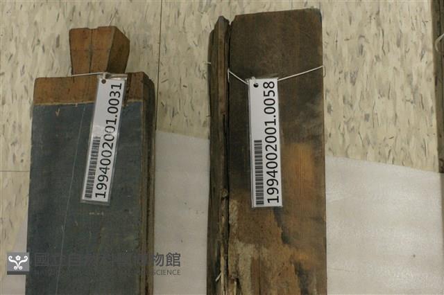 屋宅木構件藏品圖，第1張