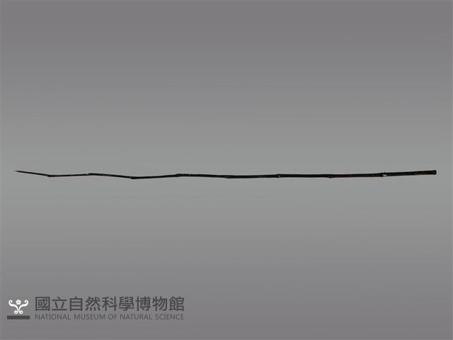 祭桿藏品圖，第1張