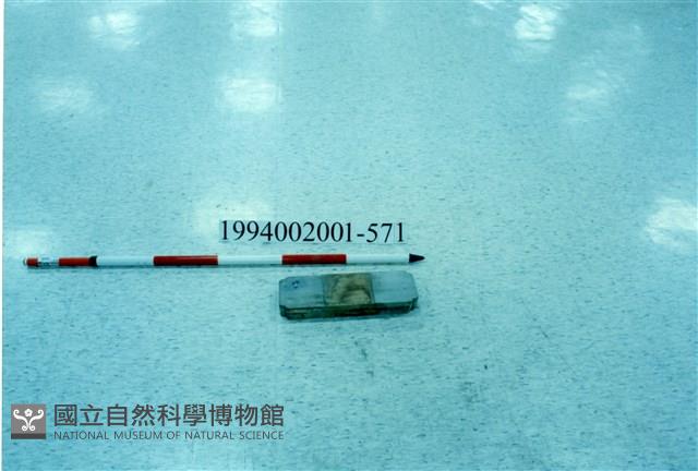 屋宅木構件藏品圖，第1張