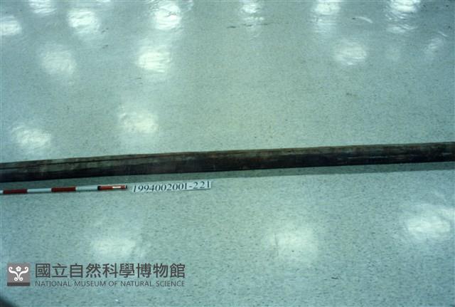 屋宅木構件藏品圖，第1張