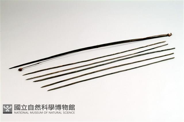 弦藏品圖，第1張