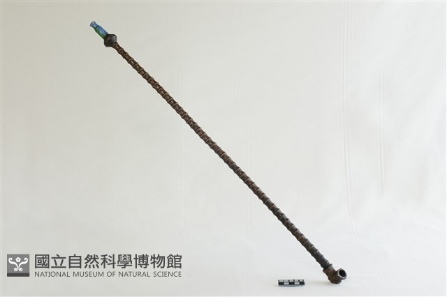 煙桿藏品圖，第1張