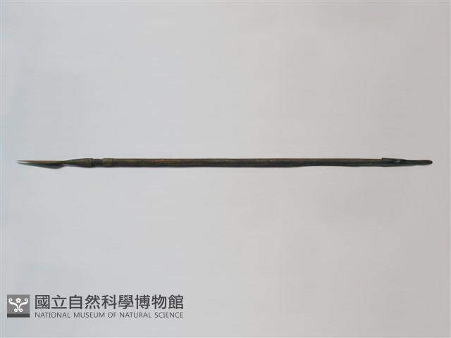 槍藏品圖，第1張