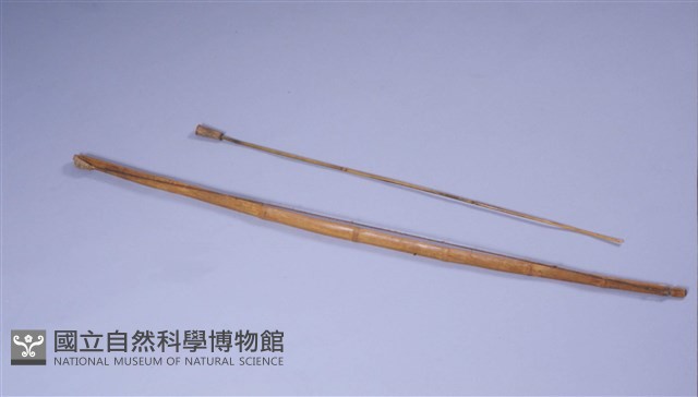 箭 藏品圖，第1張
