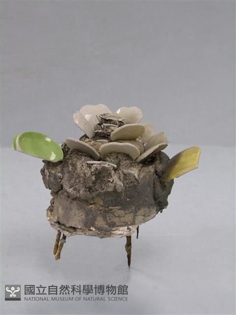 剪黏(花)藏品圖，第1張