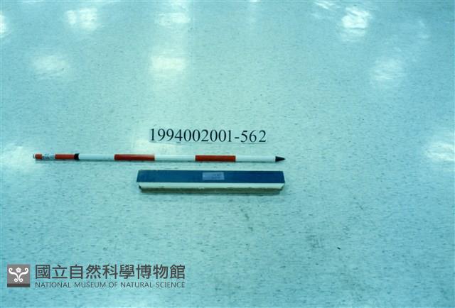 屋宅木構件藏品圖，第1張