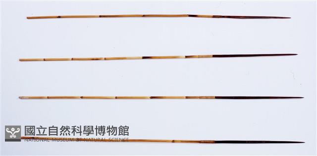 箭藏品圖，第1張