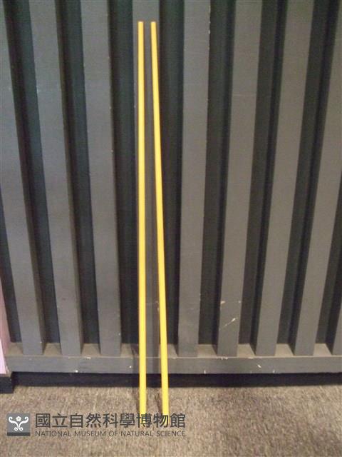 鉤拒(黃竿)藏品圖，第1張