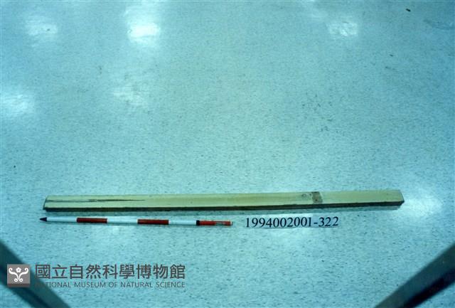 屋宅木構件藏品圖，第1張