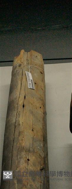 屋宅木構件藏品圖，第1張