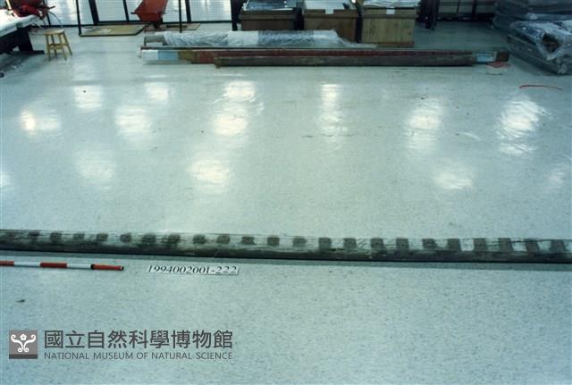 屋宅木構件藏品圖，第1張