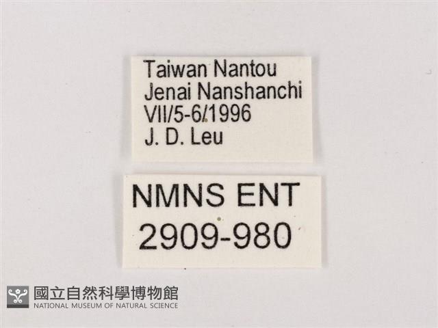 嫵琉灰蝶藏品圖，第3張