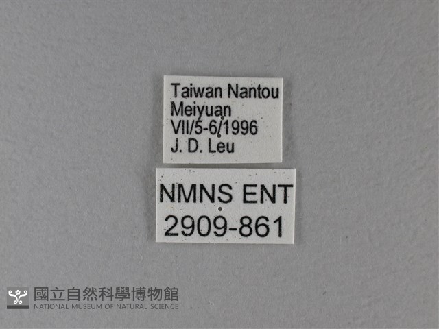 玄珠帶蛺蝶藏品圖，第3張