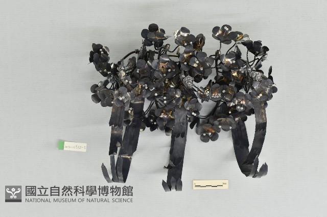 頭花藏品圖，第1張