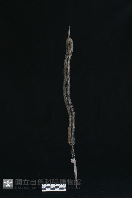 頭花藏品圖，第1張