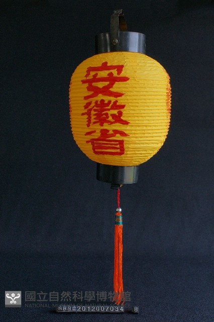 燈(安徽省)藏品圖，第1張