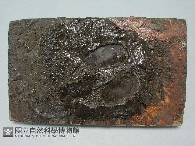 打銀器(松脂板)藏品圖，第1張