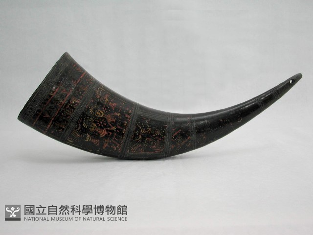牛角藏品圖，第1張