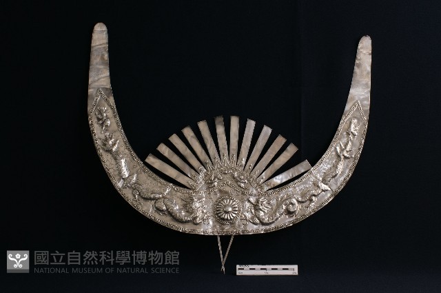 頭花藏品圖，第1張