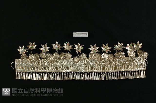 頭花藏品圖，第1張